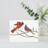 Festive Red Cardinals Briefkaart (Staand voorkant)
