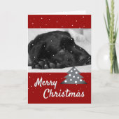 Festive Red Dog Pet Photo Tree kerst Feestdagen Kaart (Voorkant)