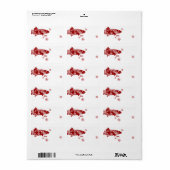 Festive Red- en White Snow-forel Etiket (Full Sheet)