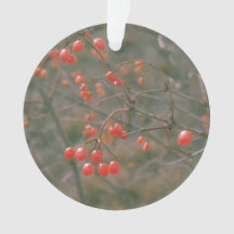 Festive Red Sparking Berries Natuur Foto