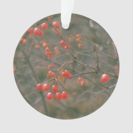 Festive Red Sparking Berries Natuur Foto Ornament