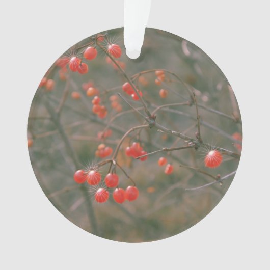 Festive Red Sparking Berries Natuur Foto Ornament (voorkant)