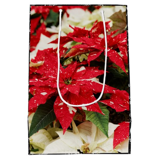 Festive Red White Floral Poinsettia Flowers Medium Cadeauzakje (Achterkant)