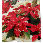Festive Red White Floral Poinsettias Douchegordijn (Voorkant)