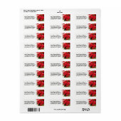 Festive Red White Floral Poinsettias Etiket (Full Sheet)