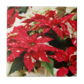 Festive Red White Floral Poinsettias Tegeltje (Voorkant)