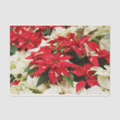 Festive Red White Floral Poinsettias Tissuepapier (Voorkant)