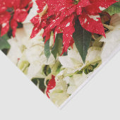 Festive Red White Floral Poinsettias Tissuepapier (Detail)