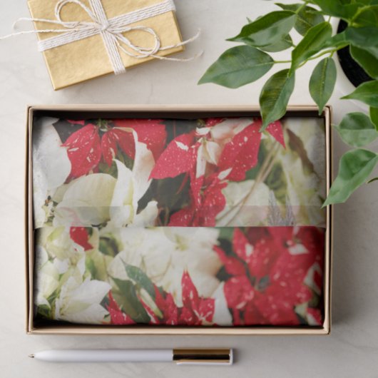 Festive Red White Floral Poinsettias Tissuepapier (Geschenk)