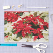 Festive Red White Floral Poinsettias Tissuepapier (Craft)