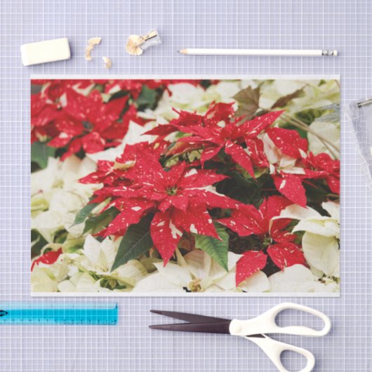 Festive Red White Floral Poinsettias Tissuepapier (Craft)