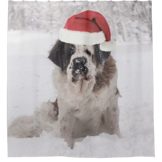 Festive Saint bernard dog met santa hat Douchegordijn (Voorkant)