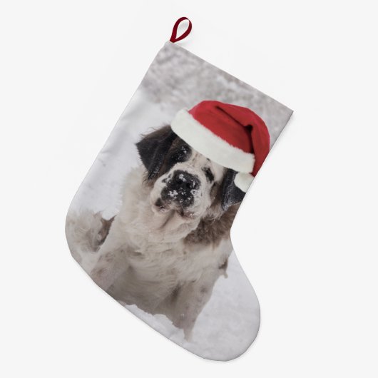 Festive Saint bernard dog met santa hat Grote Kerstsok (Voorkant (Hangend))