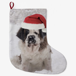 Festive Saint bernard dog met santa hat Grote Kerstsok
