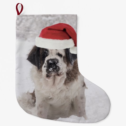 Festive Saint bernard dog met santa hat Grote Kerstsok (Voorkant)