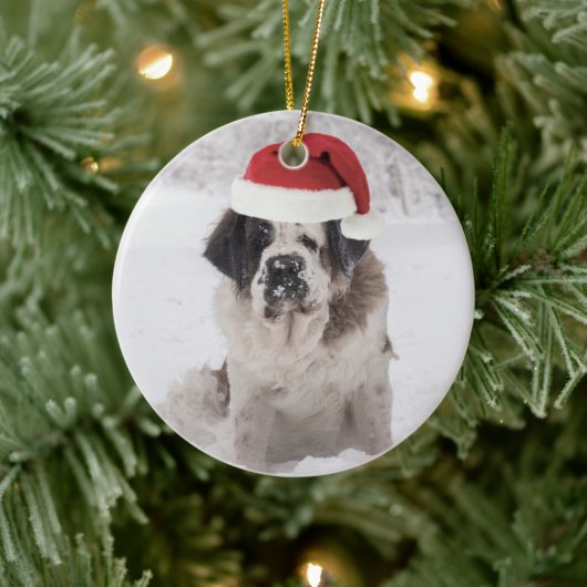 Festive Saint bernard dog met santa hat Keramisch Ornament (Boom)