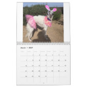 Festive Silken Windhounds 2018 Kalender (Mar 2027)