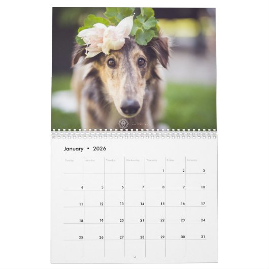 Festive Silken Windhounds 2018 Kalender (Jan 2026)