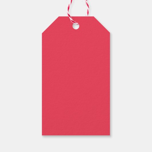 Festive Snowman Snowflakes Personeel Cadeaulabel (Achterkant)