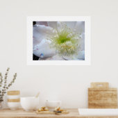 Festive White Cactus Flower Poster Print (Keuken)