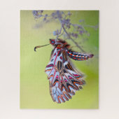 Festoon Butterfly. Legpuzzel (Verticaal)
