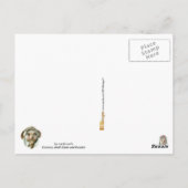 Festoons, Shell Maskers en Rosettes Briefkaart (Achterkant)