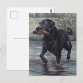 Fetch Black Labrador Retriever Dog Art Briefkaart (Voorkant / Achterkant)
