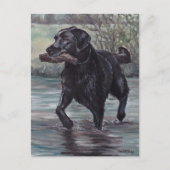 Fetch Black Labrador Retriever Dog Art Briefkaart (Voorkant)
