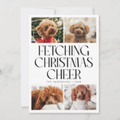 Fetching Christmas Cheer Dog Photo White Feestdagenkaart (Voorkant)