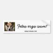 Feteo ergo sum bumpersticker (Voorkant)