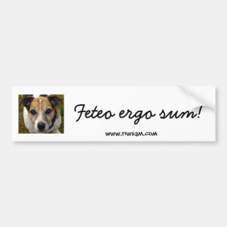 Feteo ergo sum bumpersticker