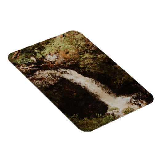 Fettjeåfall Magneet (Rechterzijde)