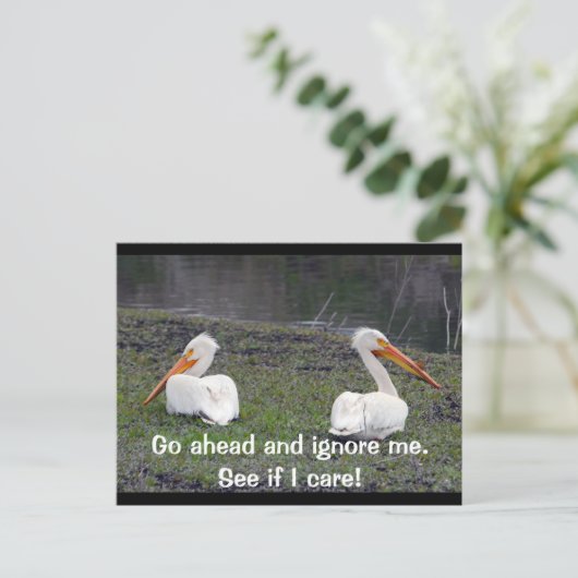 Feuding Pelicans Briefkaart (Staand voorkant)