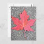 Feuille morte briefkaart (Voorkant / Achterkant)