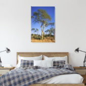 Fever Tree (Acacia Xanthophloea), Punda Maria Canvas Afdruk (Insitu (Slaapkamer))