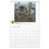 FFLA Kalender 2026 (Jan 2027)