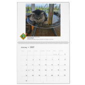 FFLA Uitkijkkalender 2026 Kalender (Jan 2027)