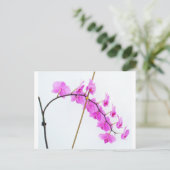 fhalaenopsis 1 briefkaart (Staand voorkant)