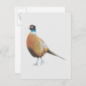 Fheasant 2012 briefkaart (Voorkant / Achterkant)