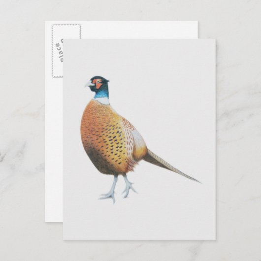 Fheasant 2012 briefkaart (Voorkant / Achterkant)