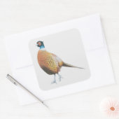 Fheasant 2012 vierkante sticker (Envelop)