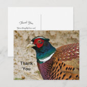 Fheasant 3 Dank u Briefkaart (Voorkant / Achterkant)