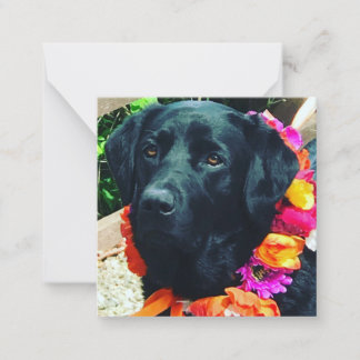 Fia Bloemenhond met Bloemenkraag Notitiekaart Notitiekaartje