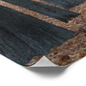 Fiaker in Schönbrunn, Wien Österreich Poster (Hoek)