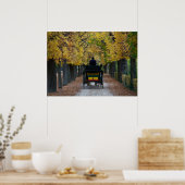 Fiaker in Schönbrunn, Wien Österreich Poster (Keuken)