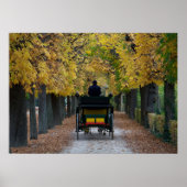 Fiaker in Schönbrunn, Wien Österreich Poster (Voorkant)