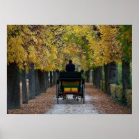Fiaker in Schönbrunn, Wien Österreich