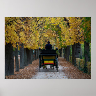 Fiaker in Schönbrunn, Wien Österreich Poster