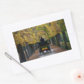 Fiaker in Schönbrunn, Wien Österreich Rechthoekige Sticker (Envelop)