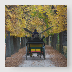 Fiaker in Schönbrunn, Wien Österreich Vierkante Klok